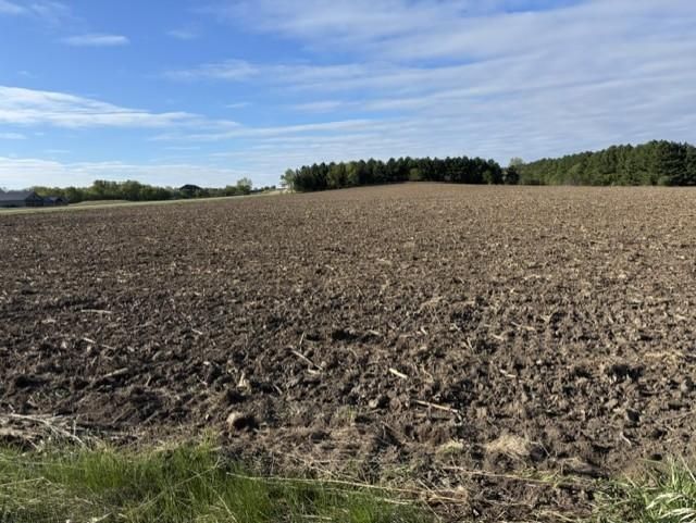 TBD Pine Bluff (site15) Rd NW, Pine Island, MN 55963