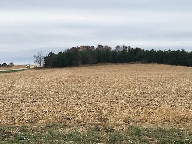 TBD New Haven (site 18) Road NW, Pine Island, MN 55963