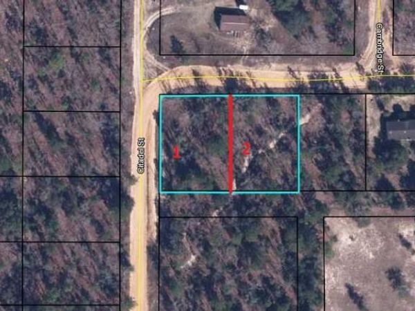 6185 CORNELL Road, Keystone Heights, FL 32656