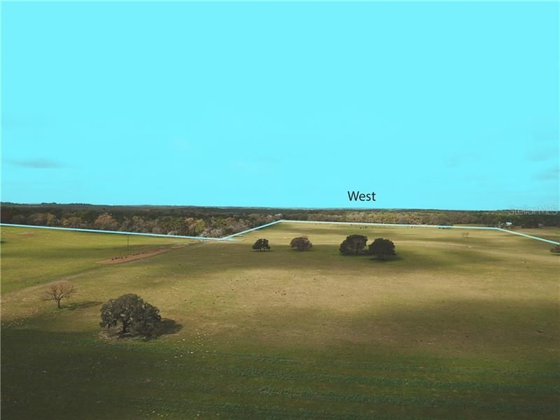 12884 S Pleasant Grove Road, Floral City, FL 34436 Photo