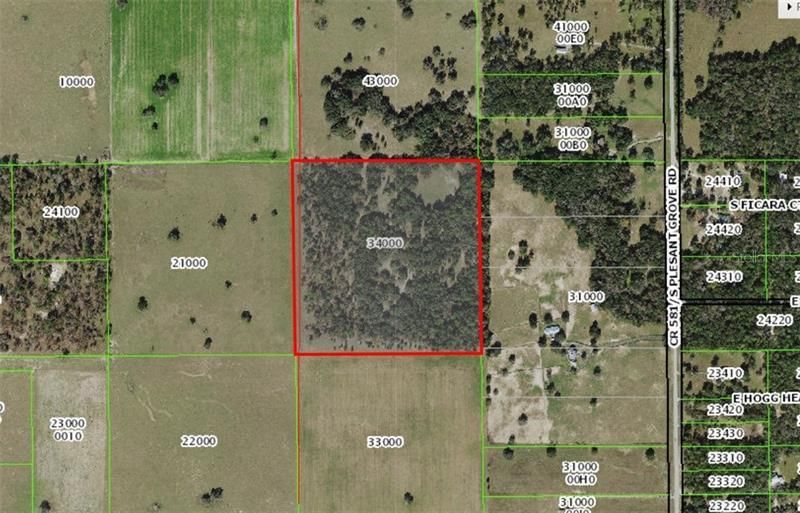 12884 S Pleasant Grove Road, Floral City, FL 34436 Photo