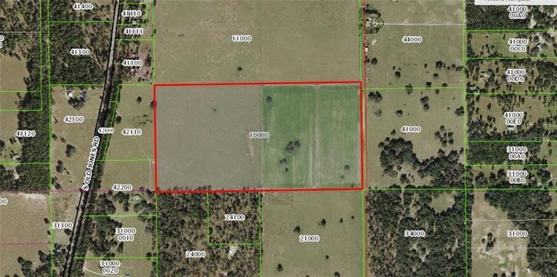 12884 S Pleasant Grove Road, Floral City, FL 34436 Photo