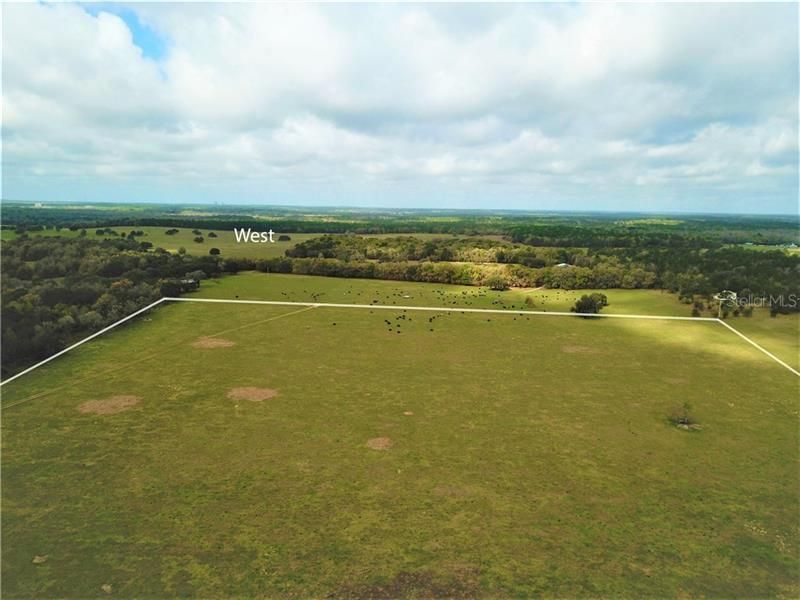 12884 S Pleasant Grove Road, Floral City, FL 34436 Photo