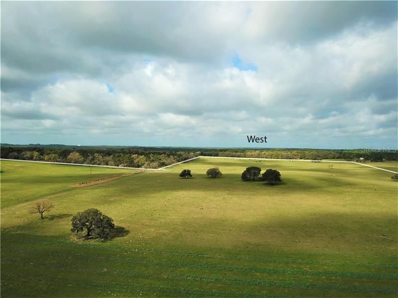 12884 S Pleasant Grove Road, Floral City, FL 34436 Photo