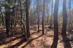 0 River Road photo 4