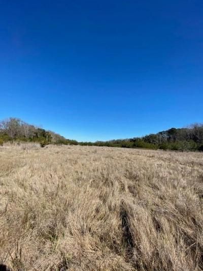 0 River Road Photo 4