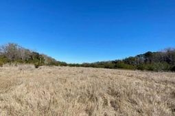 0 River Road photo 4