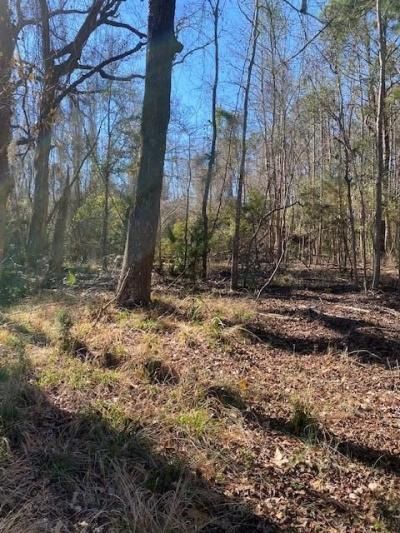 0 River Road Photo 5