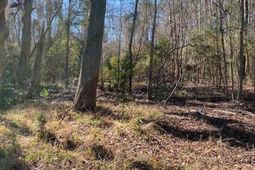 0 River Road photo 4