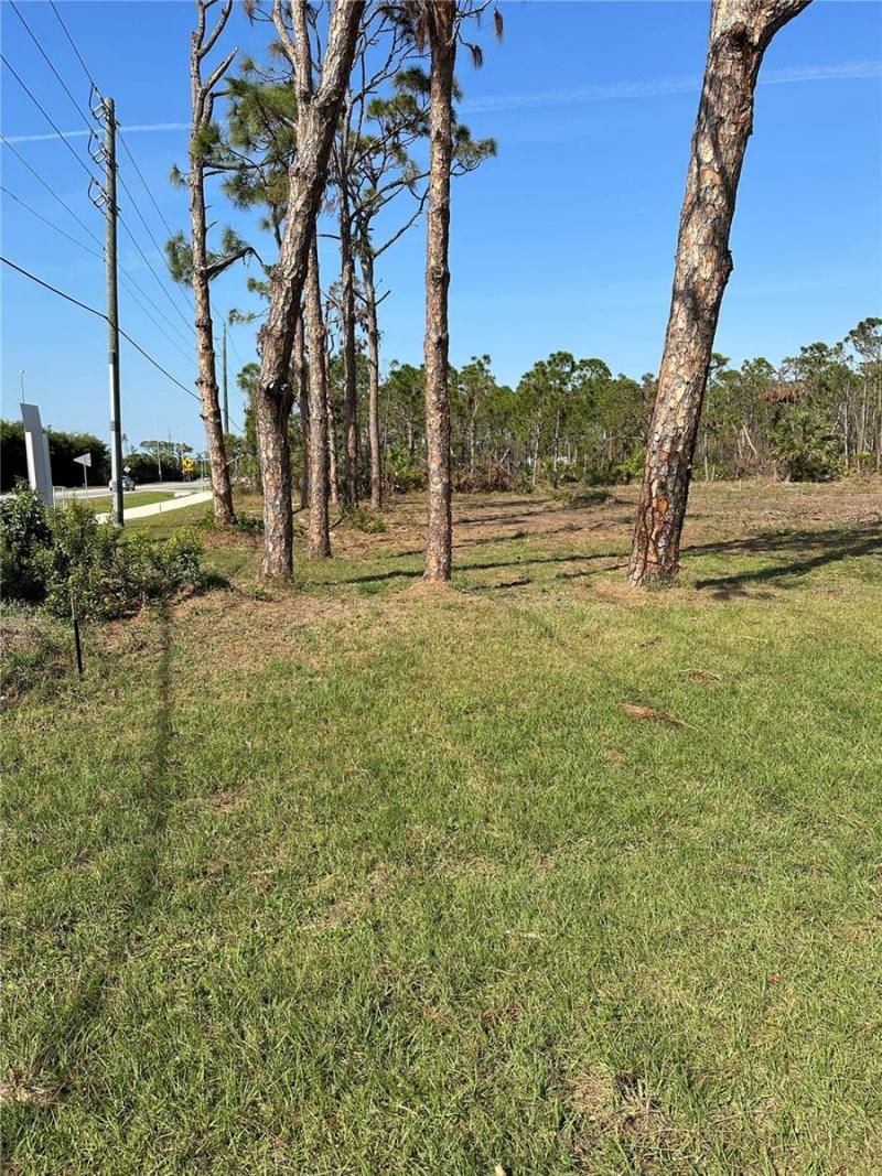 8878 Bantry Bay Boulevard, Englewood, FL 34224 Photo