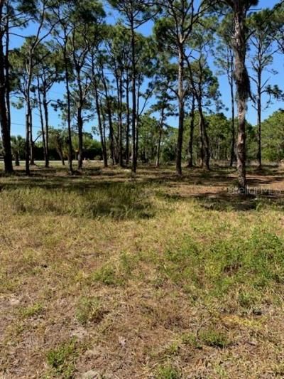 8878 Bantry Bay Boulevard, Englewood, FL 34224 Photo