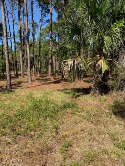 8878 Bantry Bay Boulevard, Englewood, FL 34224 Photo