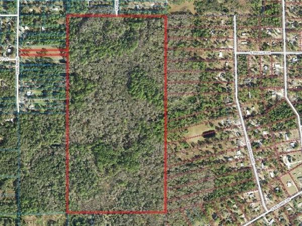 1500 S CANDLENUT & 1627 S PALM AVENUE, HOMOSASSA, FL 34448