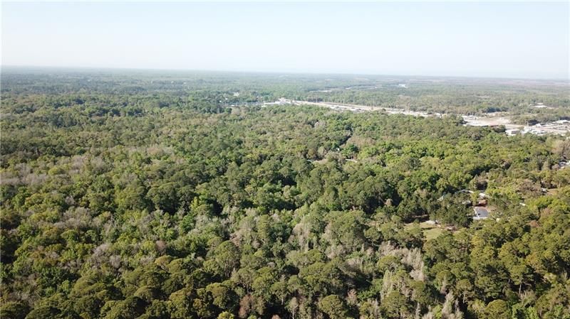 1500 S Candlenut & 1627 S Palm Avenue, Homosassa, FL 34448 Photo