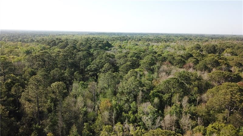 1500 S Candlenut & 1627 S Palm Avenue, Homosassa, FL 34448 Photo