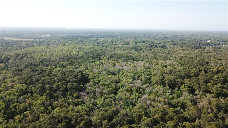 1500 S Candlenut & 1627 S Palm Avenue, Homosassa, FL 34448 Photo