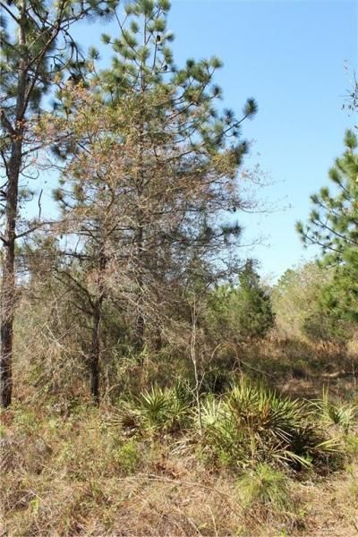 1267 N Jorie Terrace, Crystal River, FL 34429 Photo