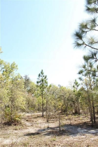 1267 N Jorie Terrace, Crystal River, FL 34429 Photo