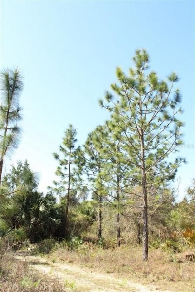 1267 N Jorie Terrace, Crystal River, FL 34429 Photo