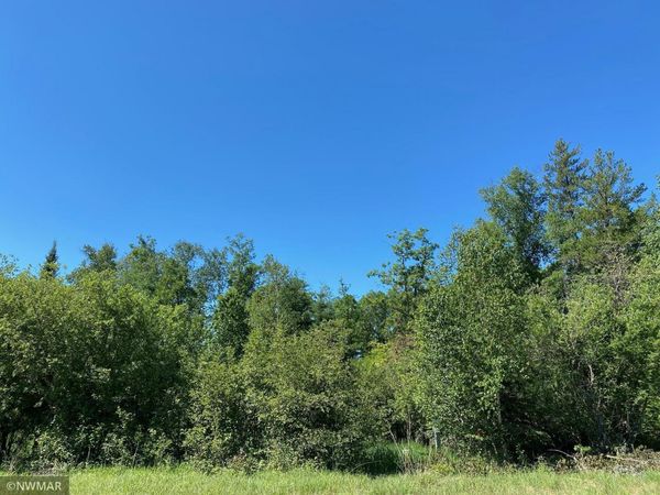TBD (L9,B2) Goldfinch Lane SW, Bemidji, MN 56601