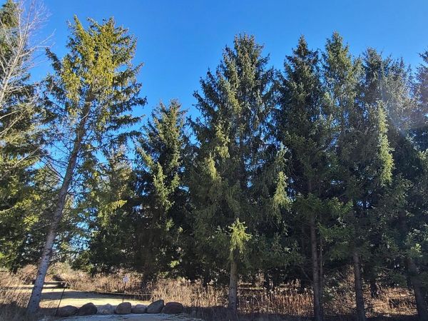 E10368 XANADU Road, Wisconsin Dells, WI 53965