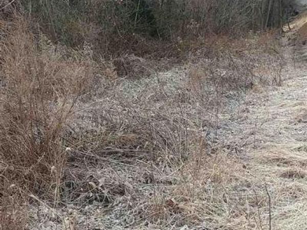 00 LAIRD LN, NORTH GARDEN, VA 22959