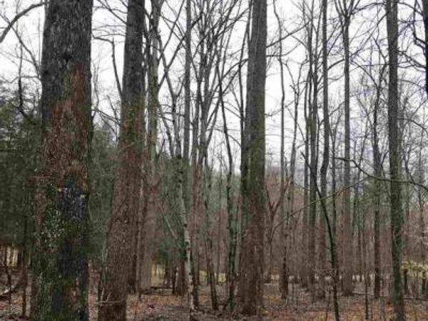 503 GARDEN LN LANE, PALMYRA, VA 22963