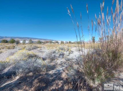 Double Diamond, Reno, NV 89521 Photo