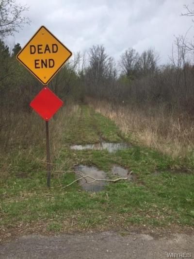 V/l 5th Street E, Grand Island, NY 14072 Main Photo