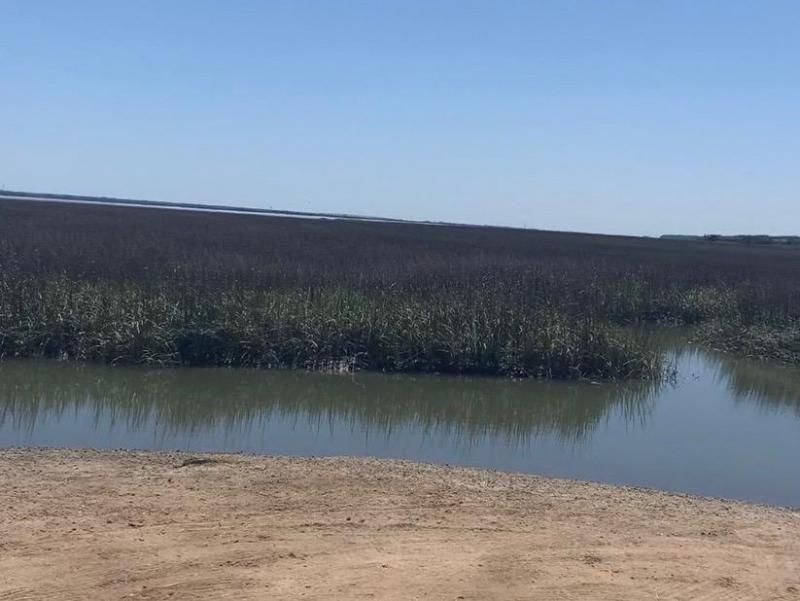 3774 Garden Hill Road Photo 12