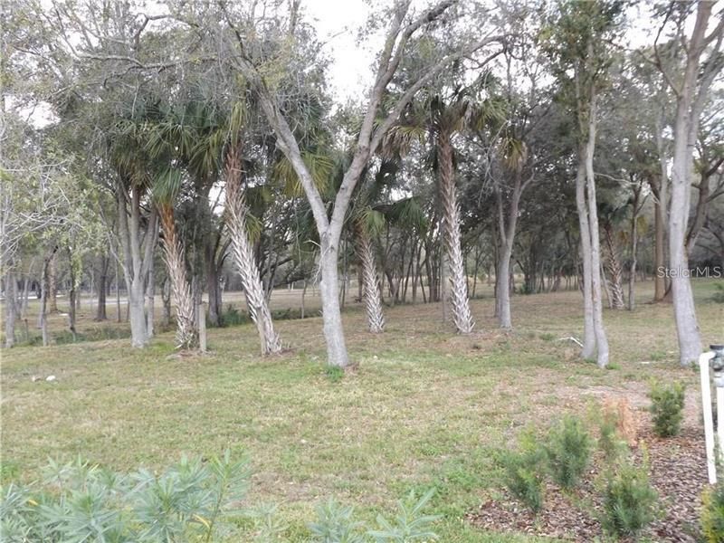 10490 Ventura Blvd., Tampa, FL 33619 Photo