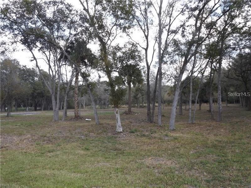 10490 Ventura Blvd., Tampa, FL 33619 Photo