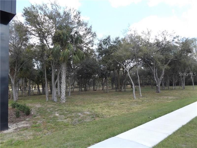 10490 Ventura Blvd., Tampa, FL 33619 Photo