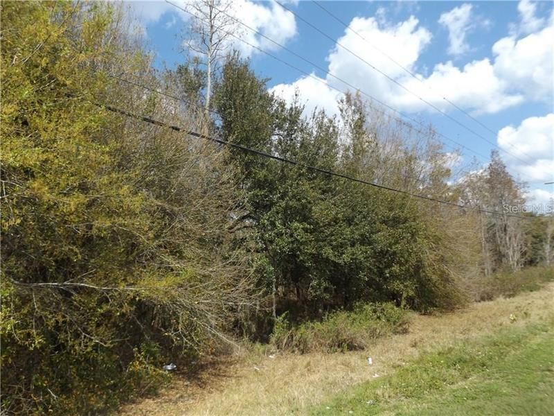 10490 Ventura Blvd., Tampa, FL 33619 Photo