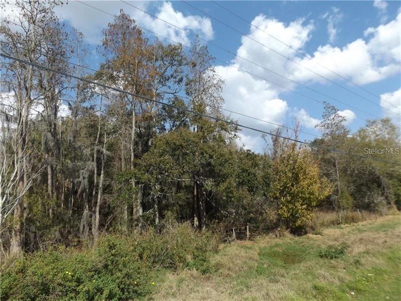 10490 Ventura Blvd., Tampa, FL 33619 Photo