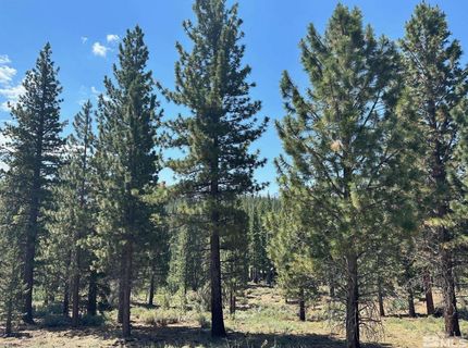 Lot 2 Raymond View, Markleeville, CA 96120 Photo