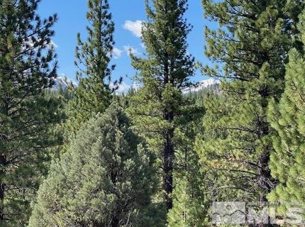 Lot 2 Raymond View, Markleeville, CA 96120 Photo