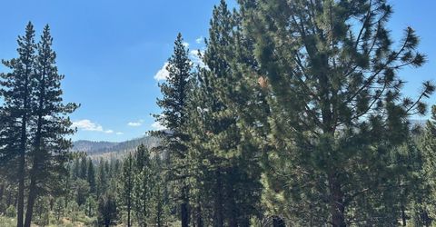 Lot 2 Raymond View, Markleeville, CA 96120 Photo