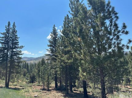 Lot 2 Raymond View, Markleeville, CA 96120 Photo