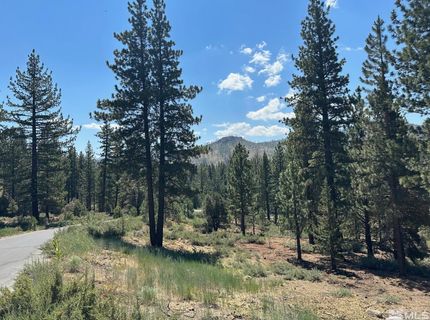 Lot 2 Raymond View, Markleeville, CA 96120 Photo