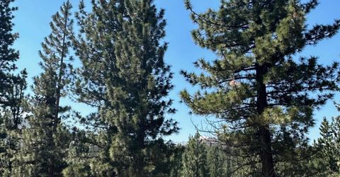 Lot 2 Raymond View, Markleeville, CA 96120 Photo