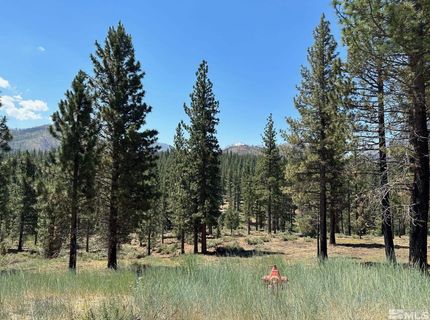 Lot 2 Raymond View, Markleeville, CA 96120 Photo