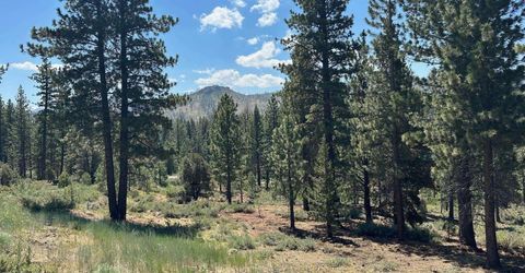 Lot 2 Raymond View, Markleeville, CA 96120 Photo