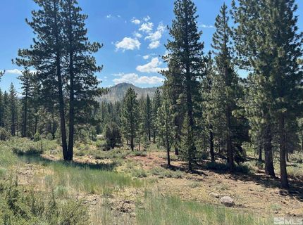 Lot 2 Raymond View, Markleeville, CA 96120 Photo