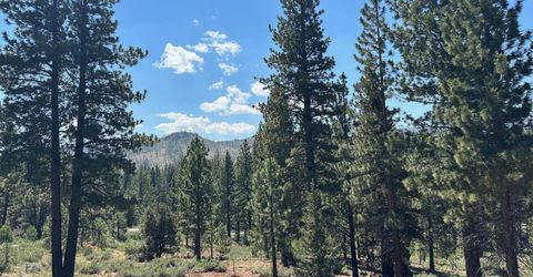 Lot 2 Raymond View, Markleeville, CA 96120 Photo