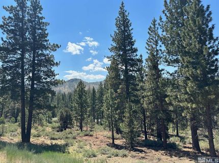 Lot 2 Raymond View, Markleeville, CA 96120 Photo