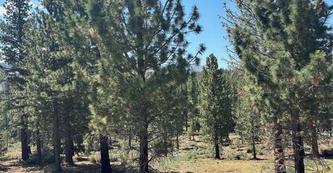 Lot 2 Raymond View, Markleeville, CA 96120 Photo