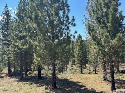 Lot 2 Raymond View, Markleeville, CA 96120 Photo