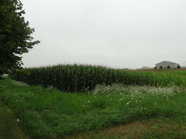 Parcel ID#1031351006, Waukon, IA 52172