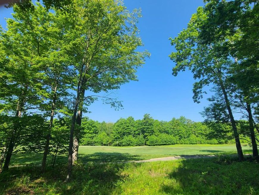 20 Fern Loop, Mc Henry, MD 21541 Main Photo